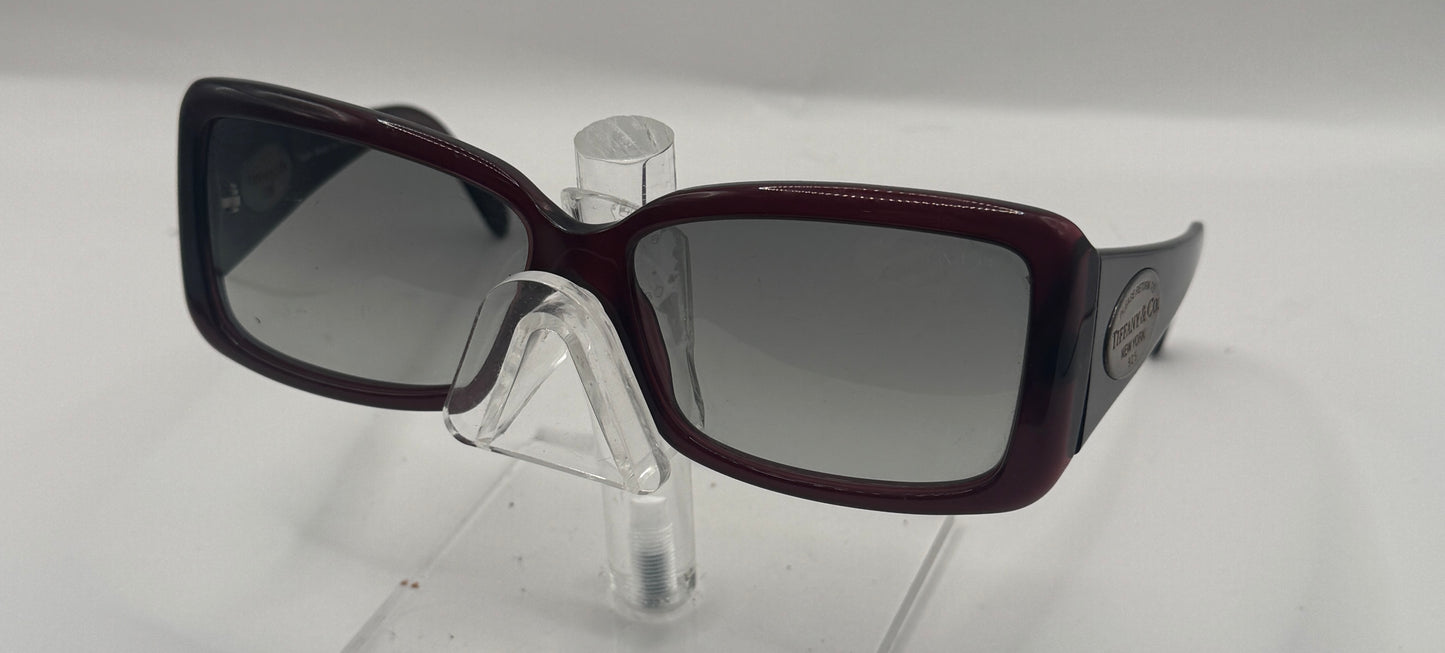 Tiffany 4006g Sunglasses in color 80033c