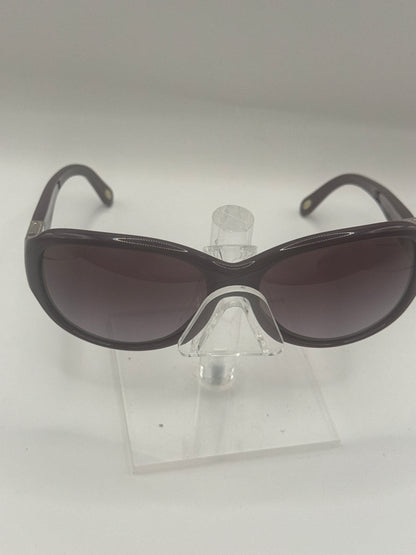 Tiffany 4018 Sunglasses in color 80543l