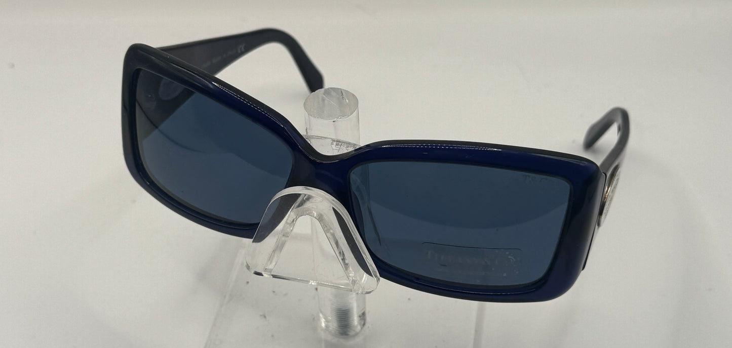 Tiffany 4006g Sunglasses in color 80053a