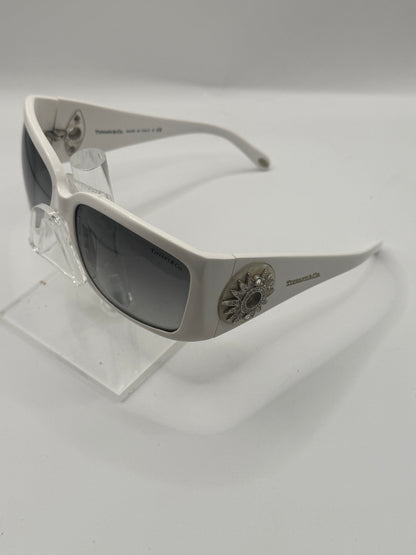 Tiffany 4017b Sunglasses in color 80273c