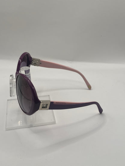 Tiffany 4022b Sunglasses in color 80743l