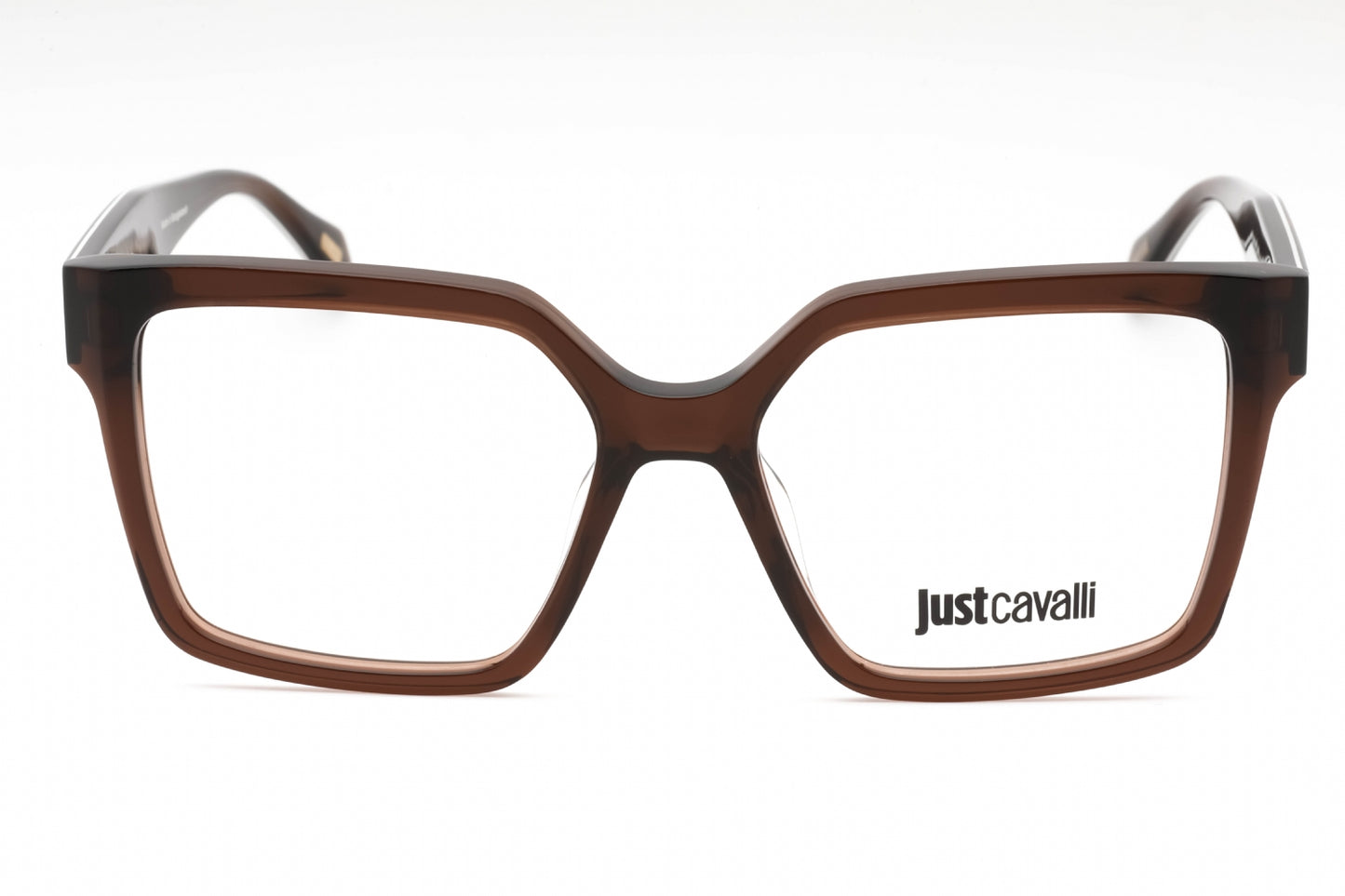 Just Cavalli 006 Aak Eyeglasses Transparent Shiny Brown Size : 53