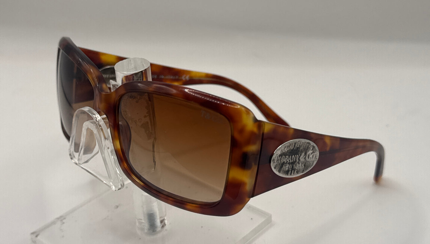 Tiffany 4006g Sunglasses in color 80303b