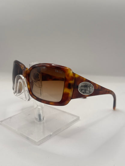 Tiffany 4006g Sunglasses in color 80303b
