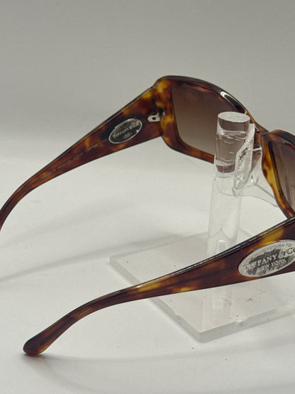 Tiffany 4006g Sunglasses in color 80303b