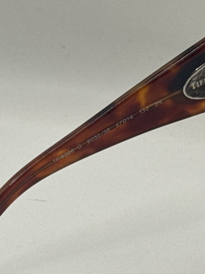 Tiffany 4006g Sunglasses in color 80303b