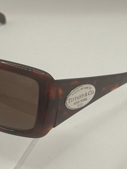 Tiffany 4006g Sunglasses in color 80024a