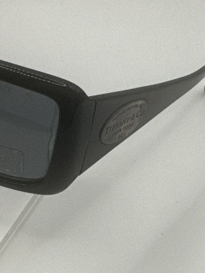 Tiffany 4006g Sunglasses in color 80014b