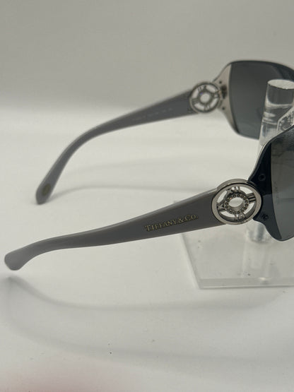 Tiffany 3003b Sunglasses in color 600188