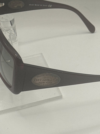 Tiffany 4006g Sunglasses in color 80033c
