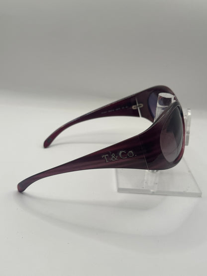 Tiffany 4007 Sunglasses in color 80343l