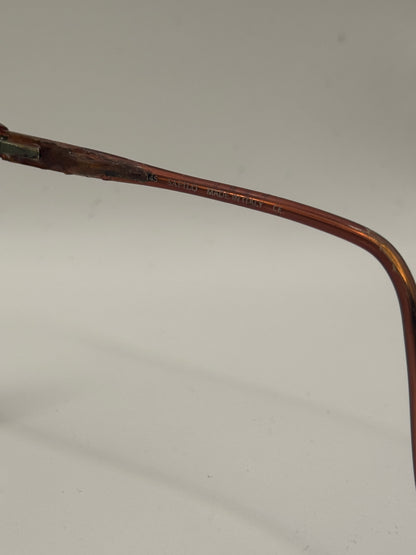 Safilo Elasta 1545 Eyeglasses in color 53l00