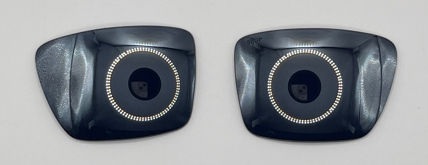 Costa Del Mar Rinconcito Both Lenses Black Chrome