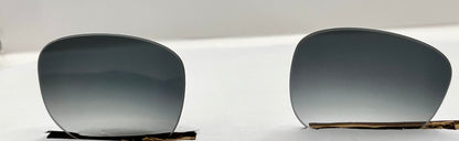 Ray Ban 4263 Both Lenses Black Ombre