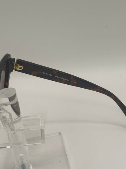 Coach 8160 Sunglasses in color 512013