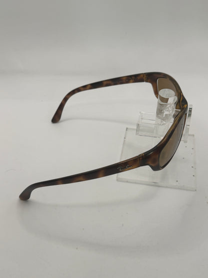Ray Ban 4115 Sunglasses in color 64273