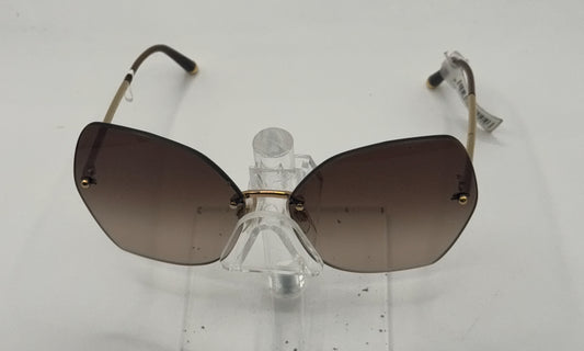 Dolce Gabbana 2204 Sunglasses in color 0213