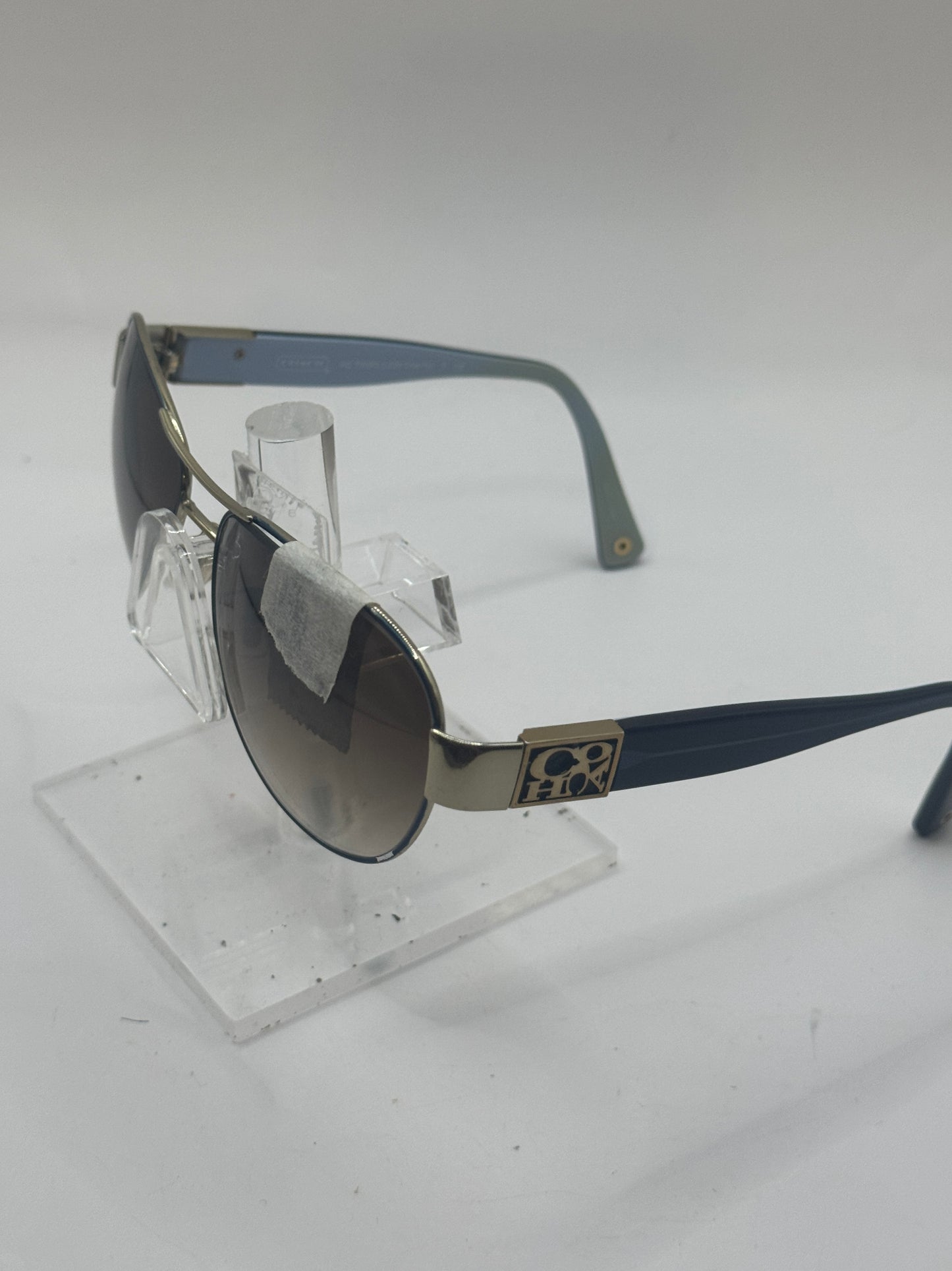 Coach Charity Hc7009q L024 Sunglasses in color 905417
