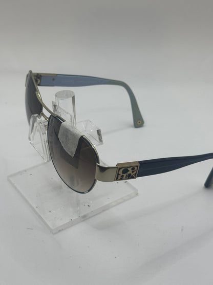 Coach Charity Hc7009q L024 Sunglasses in color 905417