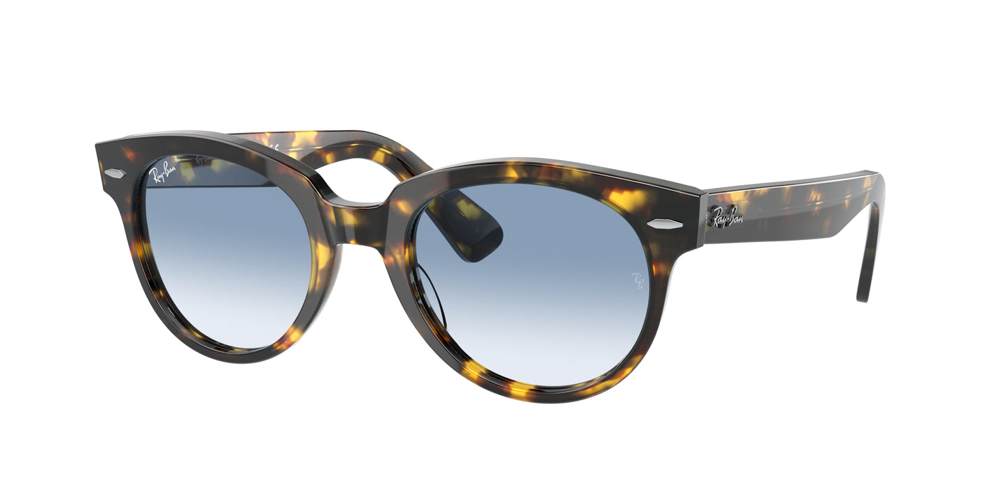 Ray Ban 2199 Sunglasses in color 13323f