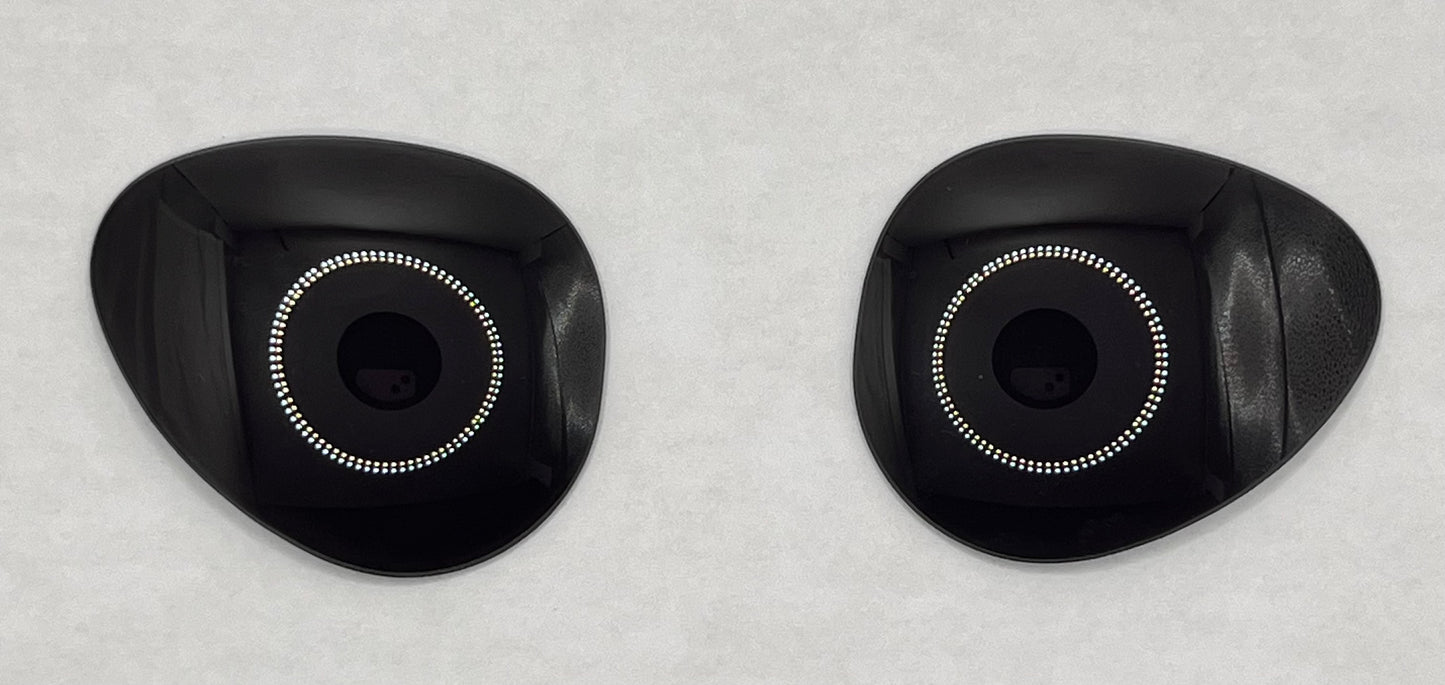 Ray Ban 3675 Both Lenses Black