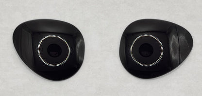 Ray Ban 3675 Both Lenses Black