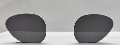 Ray Ban 3675 Both Lenses Black