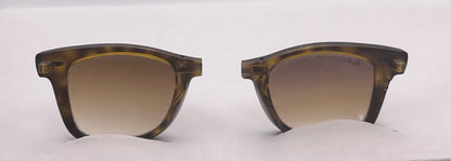 Costa Del Mar Folding Wayfarer Front Face Tortoise (front Face) Brown (lenses)