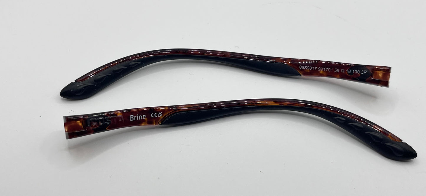 Costa Del Mar Brine Both Temples Tortoise