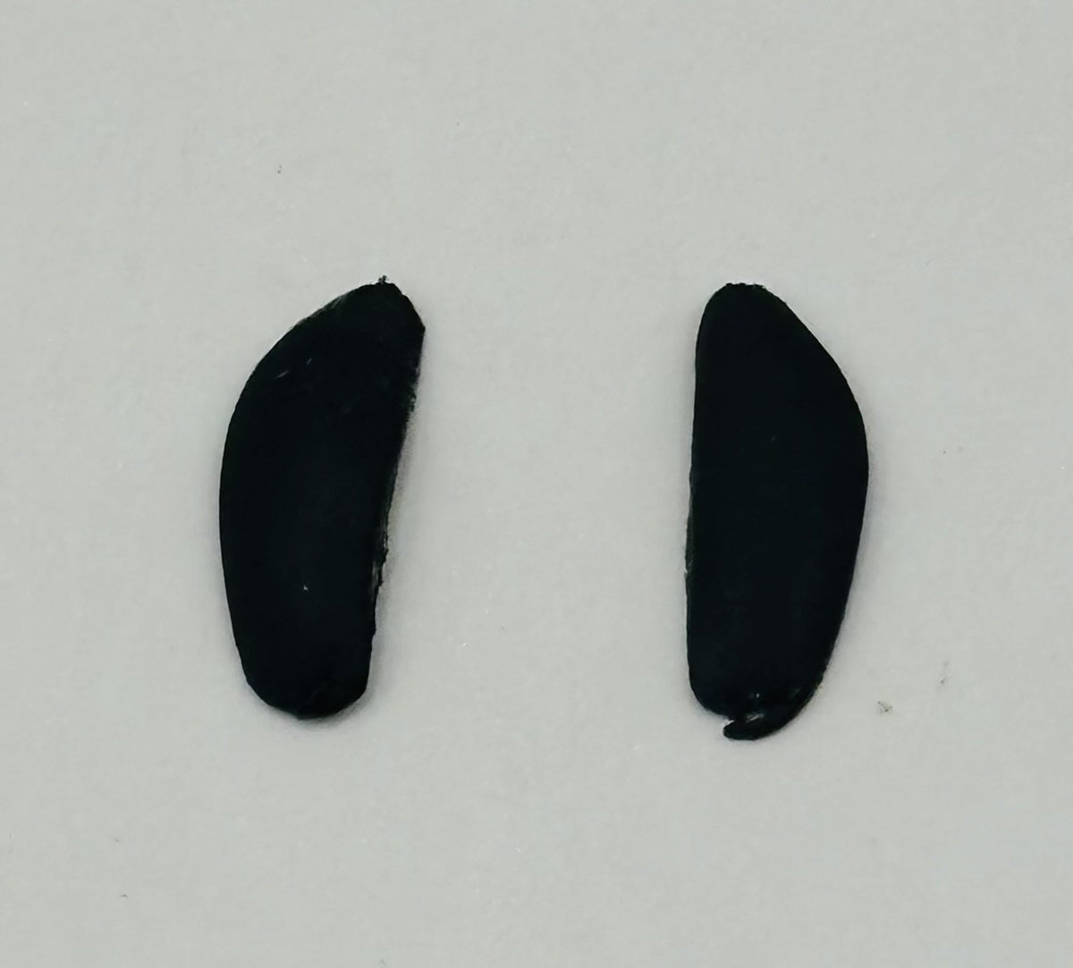 Costa Del Mar Cut 51 Nose Pads Black
