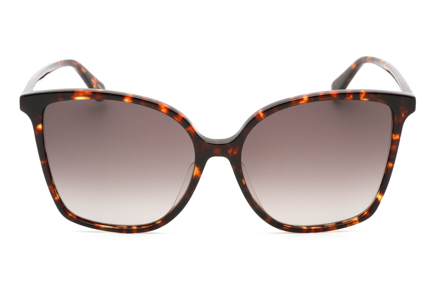Kate Spade Brigitte/f/s 086ha Sunglasses Havana Size : 58