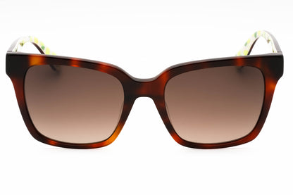 Kate Spade Harlow/g/s 086ha Sunglasses Havana Size : 55