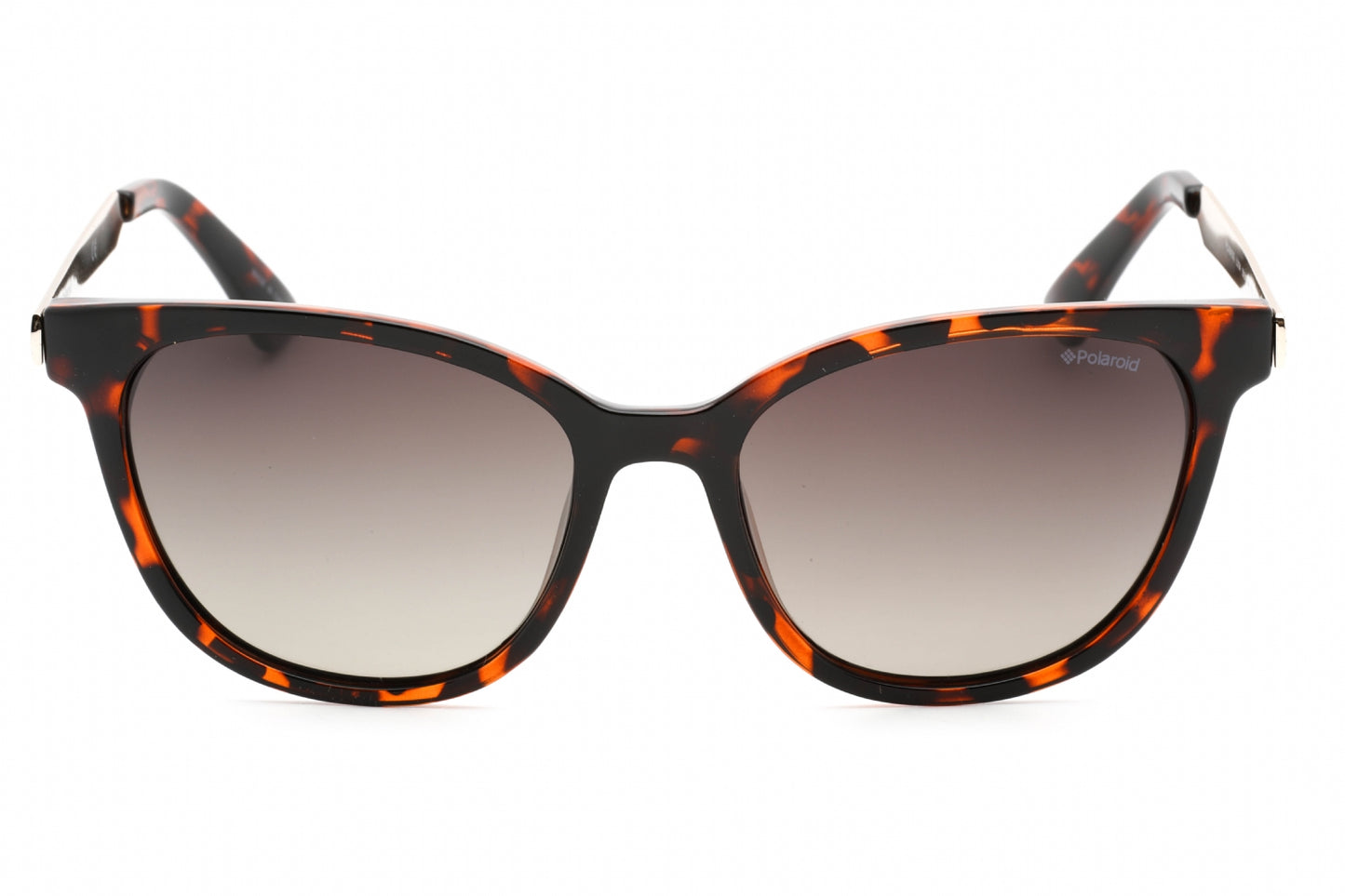Polaroid Core 5015/s Lly00 Sunglasses Dark Havana Size : 55