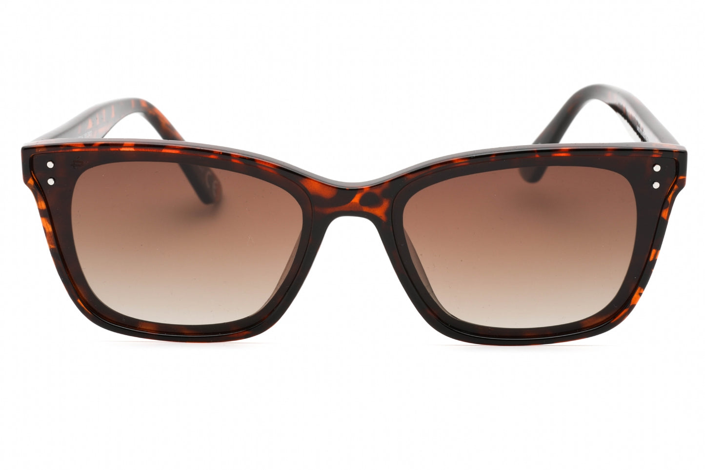 Prive Revaux Sun Stalker Tortoise Sunglasses Tortoise Size : 61