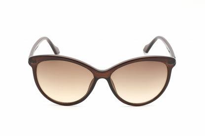 Calvin Klein Retail 19534s 210 Sunglasses Crystal Brown Size : 58