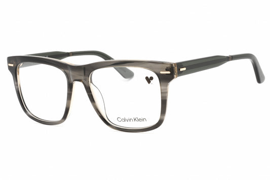 Calvin Klein 22538 23 Eyeglasses Striped Grey Size : 55