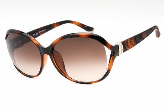 Salvatore Ferragamo 770sa 214 Sunglasses Tortoise Size : 61