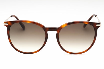 Longchamp Lo646s 214 Sunglasses Havana Size : 54