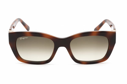 Salvatore Ferragamo 1012s 214 Sunglasses Tortoise Size : 53