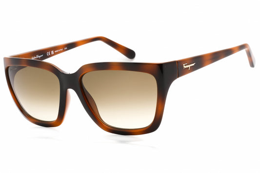 Salvatore Ferragamo 1018s 214 Sunglasses Tortoise Size : 59