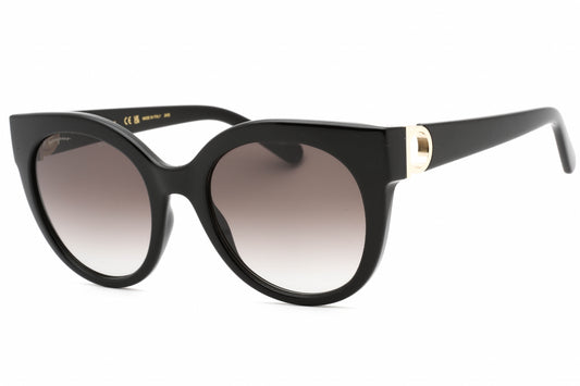 Salvatore Ferragamo 1031s 01 Sunglasses Black Size : 53