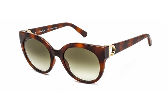 Salvatore Ferragamo 1031s 214 Sunglasses Tortoise Size : 53
