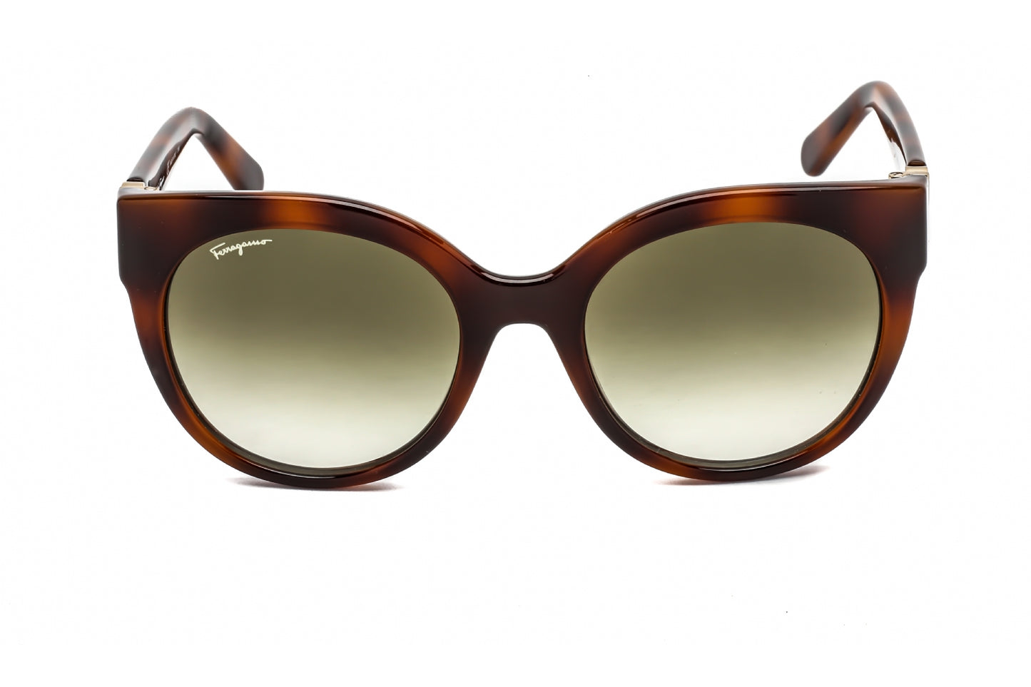 Salvatore Ferragamo 1031s 214 Sunglasses Tortoise Size : 53