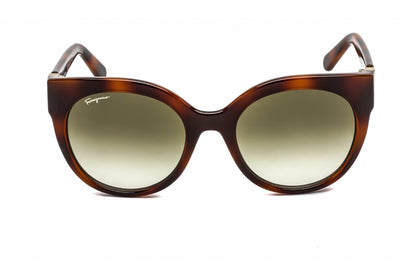Salvatore Ferragamo 1031s 214 Sunglasses Tortoise Size : 53