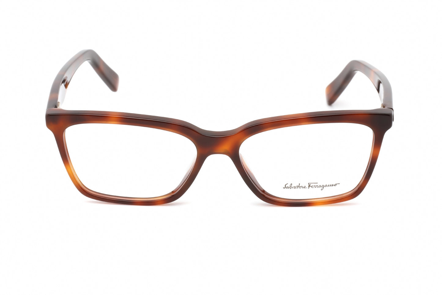 Salvatore Ferragamo 2904 240 Eyeglasses Tortoise Size : 55