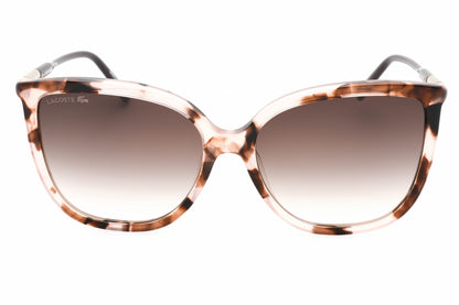 Lacoste L963s 610 Sunglasses Havana Rose Size : 59