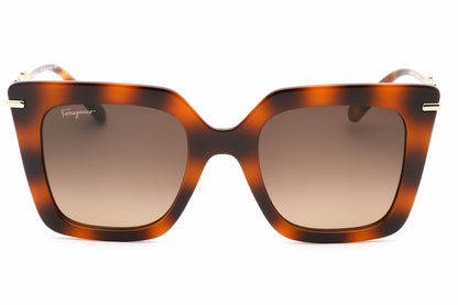 Salvatore Ferragamo 1041s 238 Sunglasses Classic Havana Size : 51