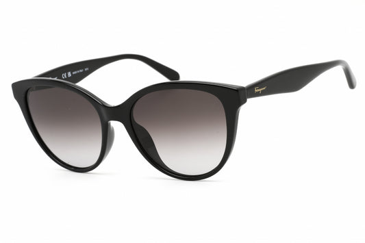 Salvatore Ferragamo 1073s 01 Sunglasses Black Size : 54