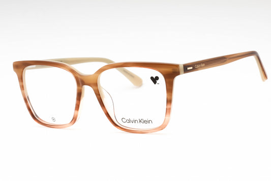 Calvin Klein 22540 259 Eyeglasses Honey Tortoise Size : 51