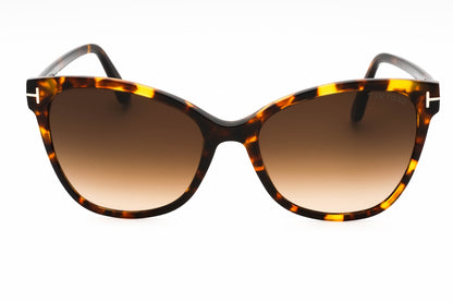 Tom Ford 0844 Ani 52f Sunglasses Dark Havana Size : 58